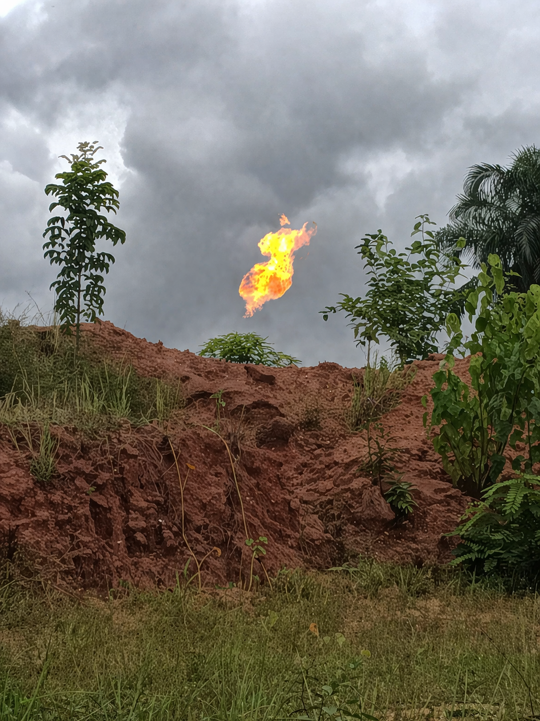 Zipora Gas field operations